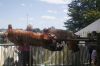 Filename=_MG_0864.JPG
Filesize=118KB
Dimensions=800x533
Date added=Aug 03, 2015 _MG_0864.JPG
