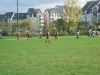 Filename=foot_16-10-10_003.jpg
Filesize=54KB
Dimensions=480x360
Date added=Oct 20, 2010 foot_16-10-10_003.jpg